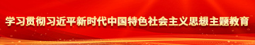 操逼网站。学习贯彻习近平新时代中国特色社会主义思想主题教育